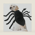 Dog Halloween Spider Costumes for Small Medium Large Dogs Funny Outfits