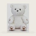 MEEMO Bear AI Plush Toy for Kids Ages 3+, Interactive Talking Teddy Bear Companion, Parent-App Controlled, 12 Languages, No Subscription, Birthday Gift for Boys Girls