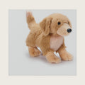 The Petting Zoo Golden Retriever Dog Stuffed Animal Plush, Kids Gifts, 8 in