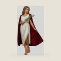 Women’s Greek Goddess Costume, Toga Dress Aphrodite Halloween Cosplay
