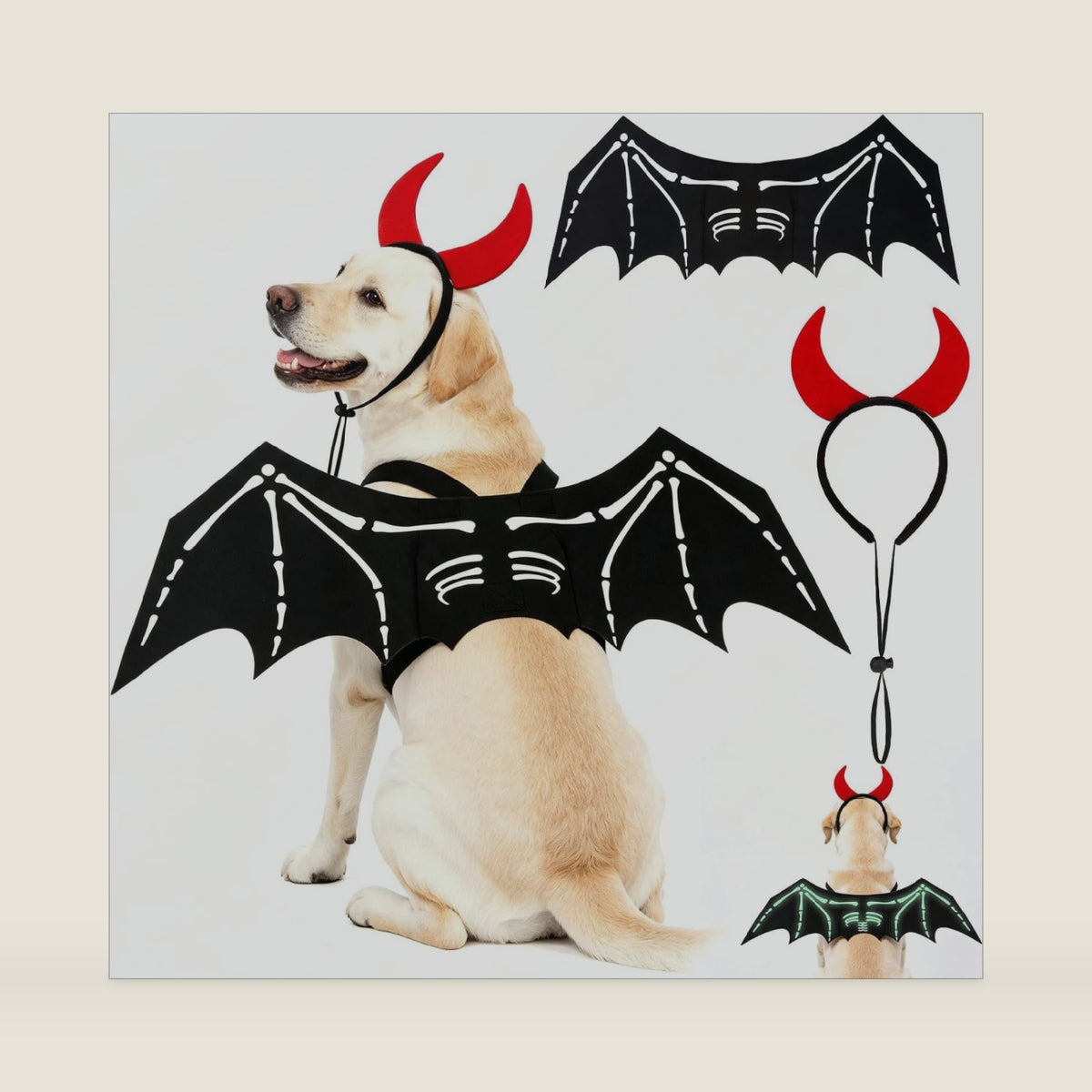 EXPAWLORER 2PCS Halloween Dog Costumes - Funny Bat Wings & Headband