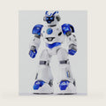 Smart Robot Toys for Kids 5-7, Programmable Remote Control Robots