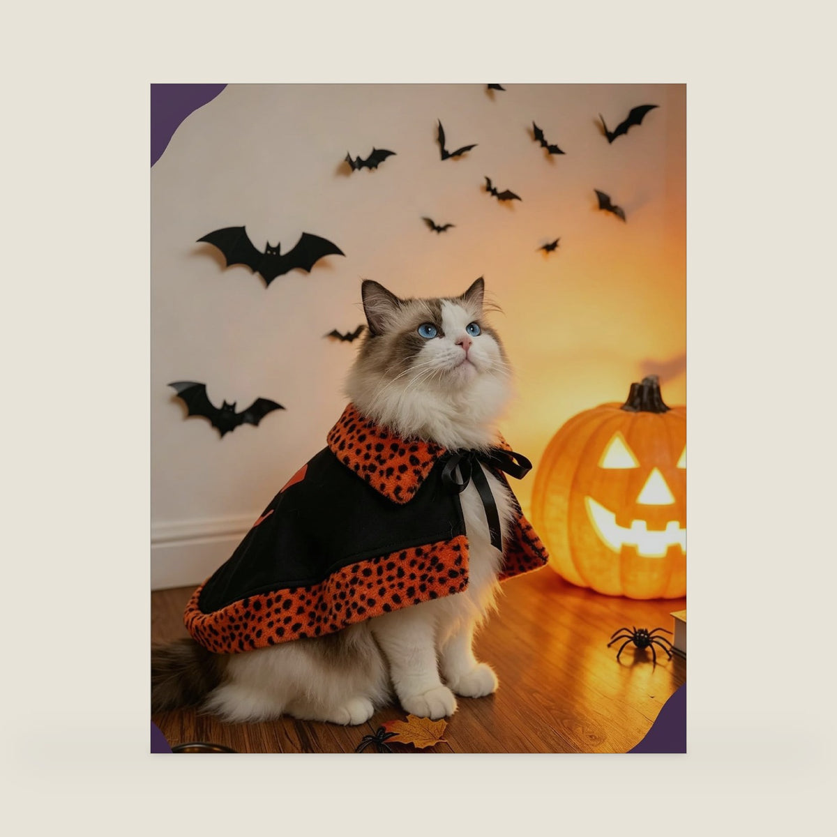 Cat Halloween Costumes, Small Cat Pumpkin Cloak, Orange, Medium