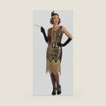 Women's Art Deco Flapper Costume Adult 1920s Roaring Twenties Dress with Gloves Headband Jewelry