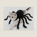 Halloween Spider Costume for Dogs & Cats，with Plush：Small